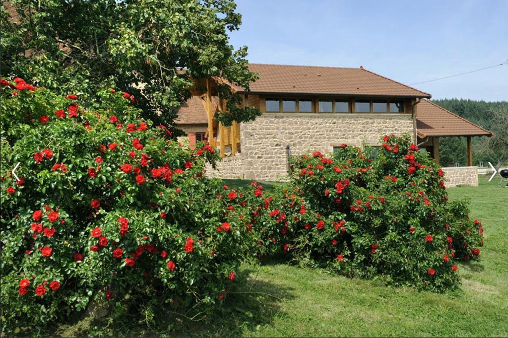 Villa Les Perruchons ancienne grange rénovée avec soin Ozolles Habitación foto